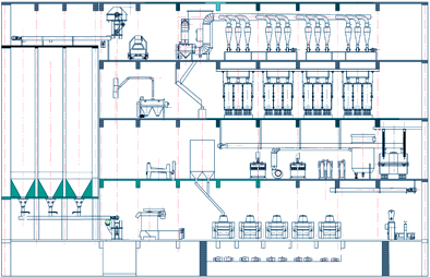 180t/24h PLANT LAYOUT